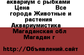 аквариум с рыбками › Цена ­ 15 000 - Все города Животные и растения » Аквариумистика   . Магаданская обл.,Магадан г.